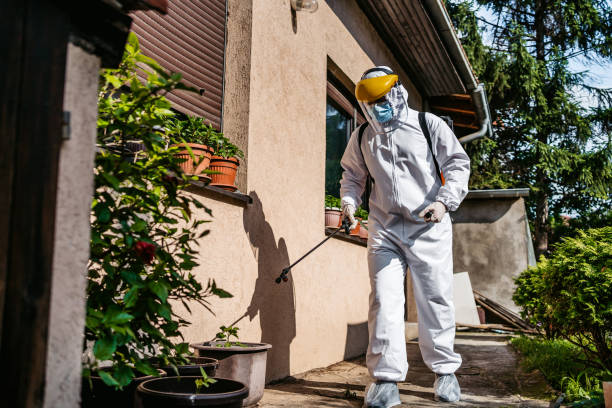 Professional Pest Control in Dunlap, TN