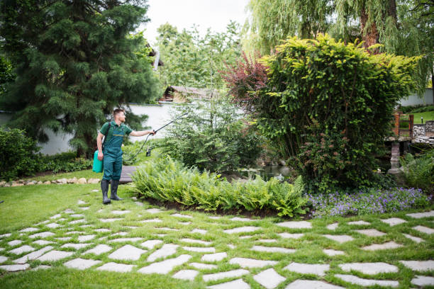 Best Best Pest Control Companies  in Dunlap, TN