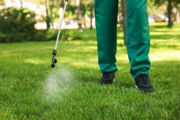 Best Pest Removal Services  in Dunlap, TN
